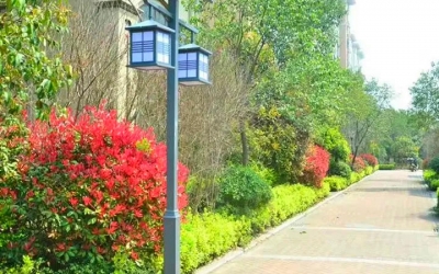 What are the advantages of solar garden lights?